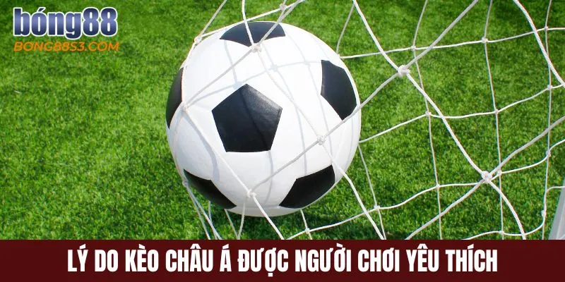 Lý do kèo châu Á được người chơi yêu thích